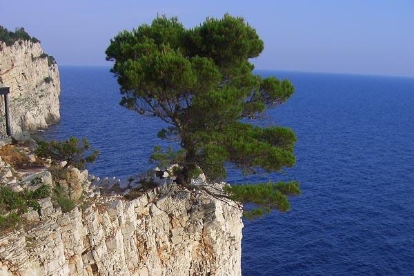 Urlaub individuell Ausflug Nationalpark Telašćica